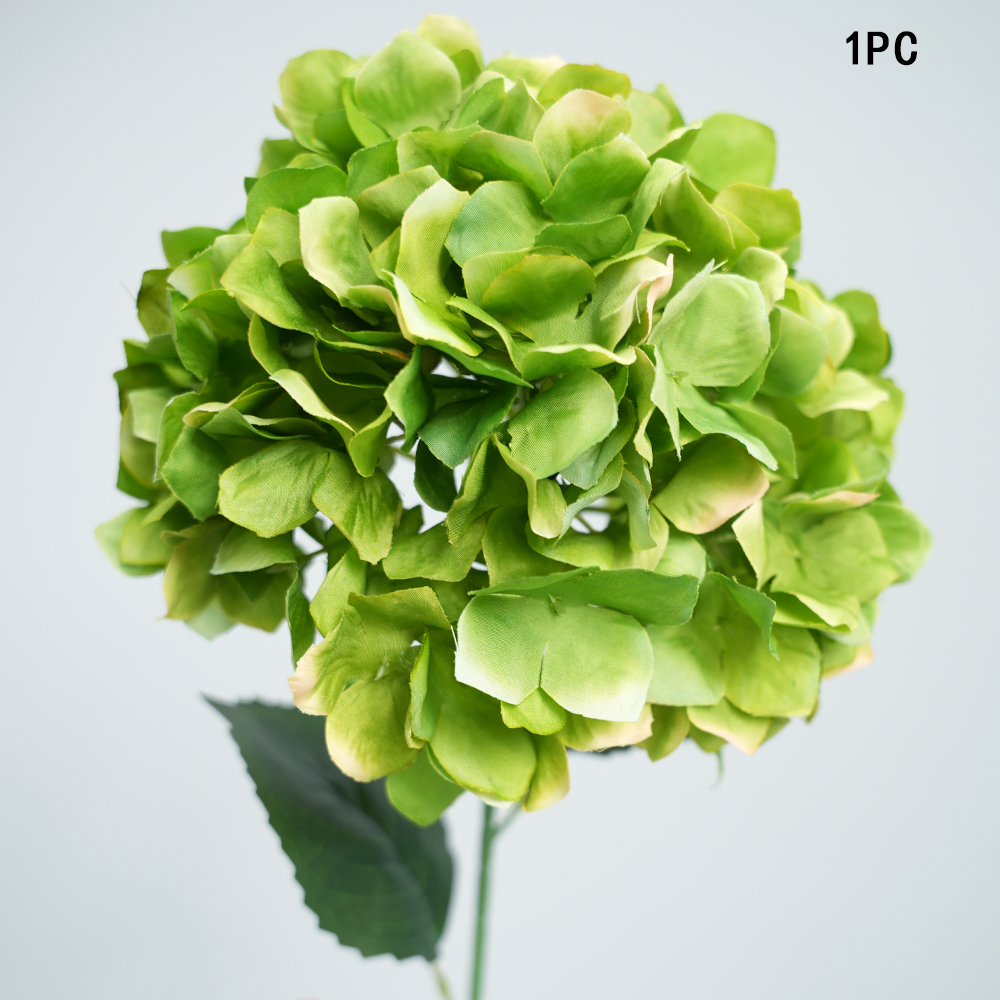 Simulation Anna hydrangea