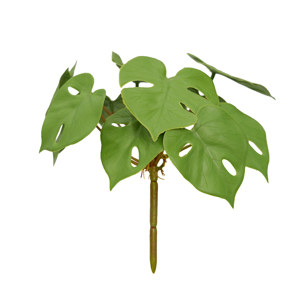 Simulation Turtle Back Leaf 