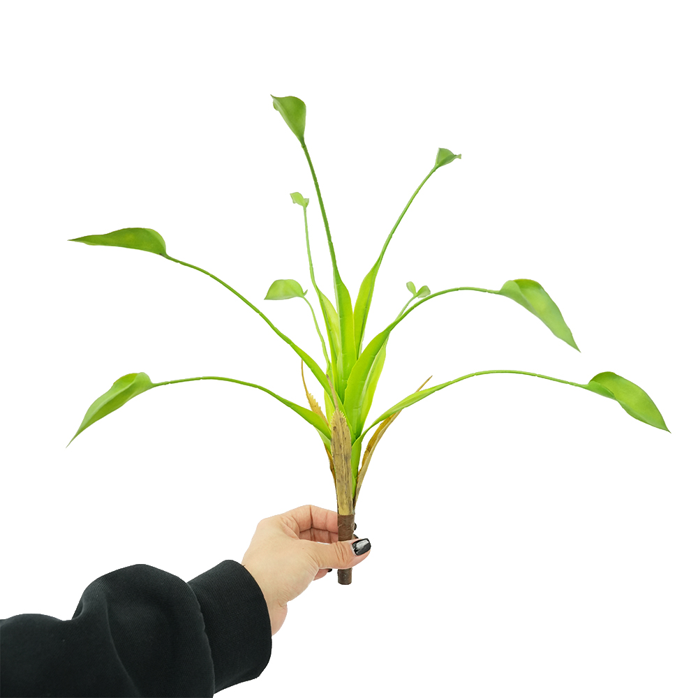 Dripping Guanyin Leaves