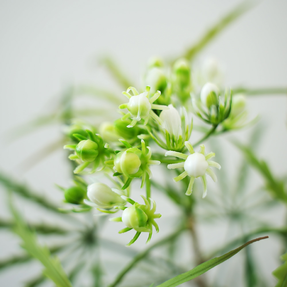 8 Simulation Peacock Wood