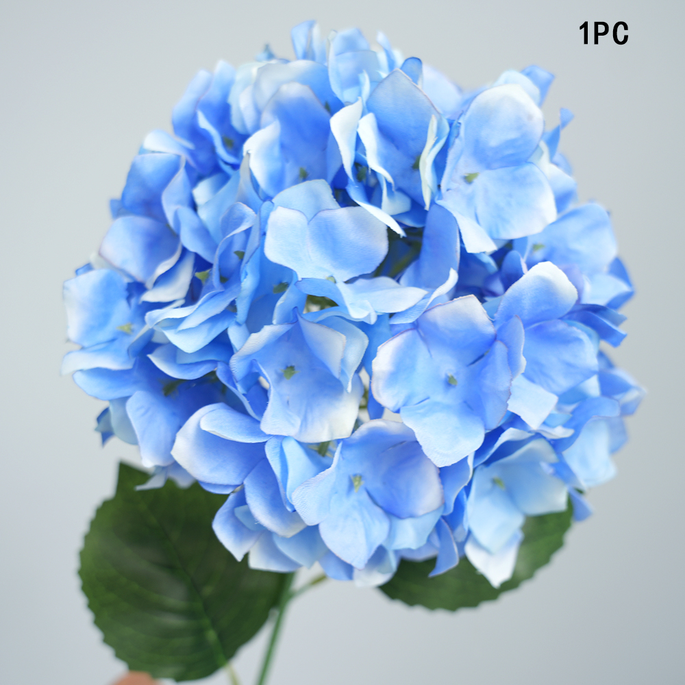 Simulation Anna hydrangea