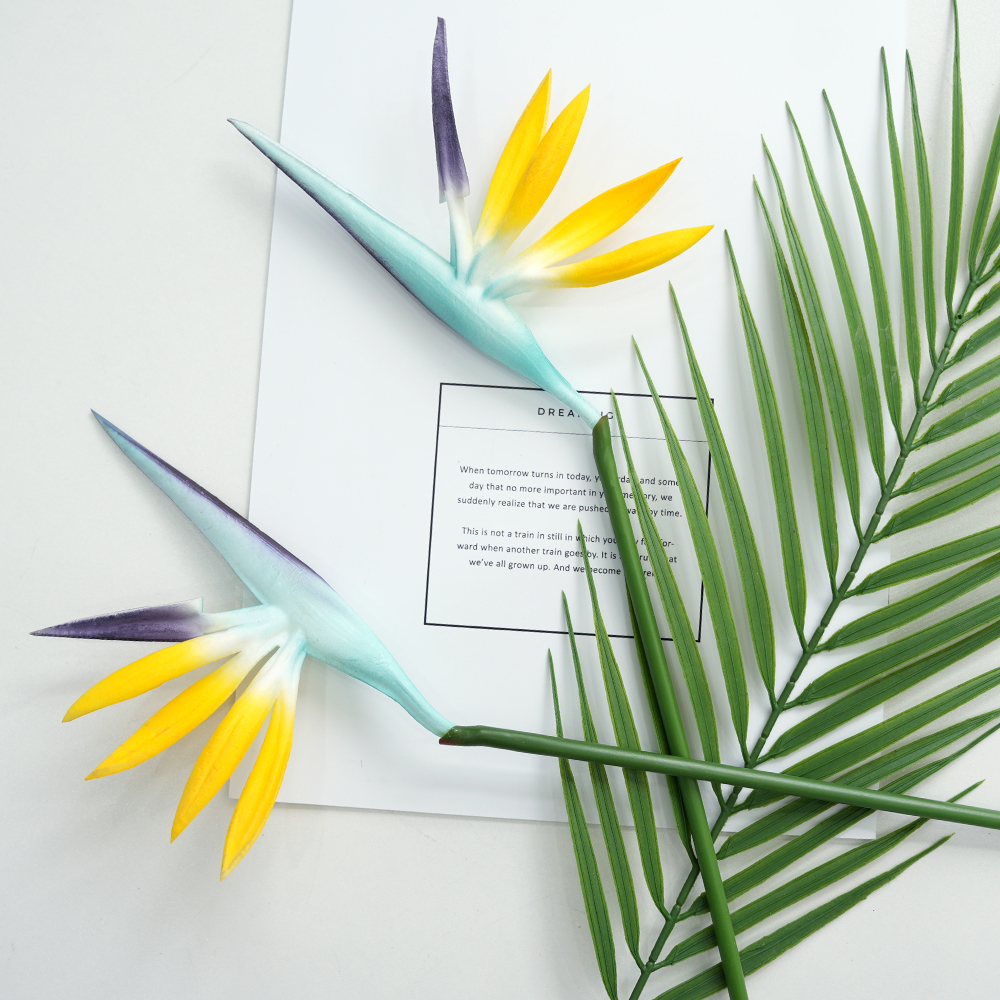 simulation Birds Of Paradise