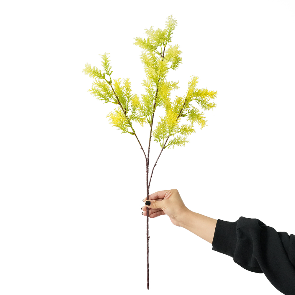 Artificial color Penglai pine