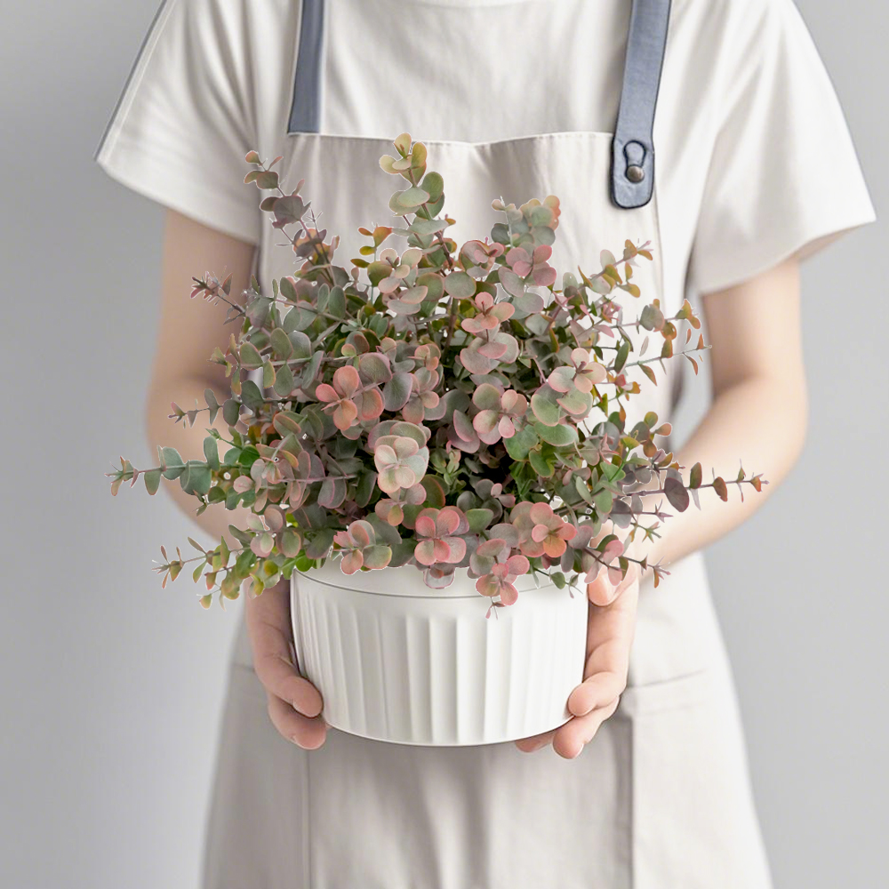 Artificial Eucalyptus