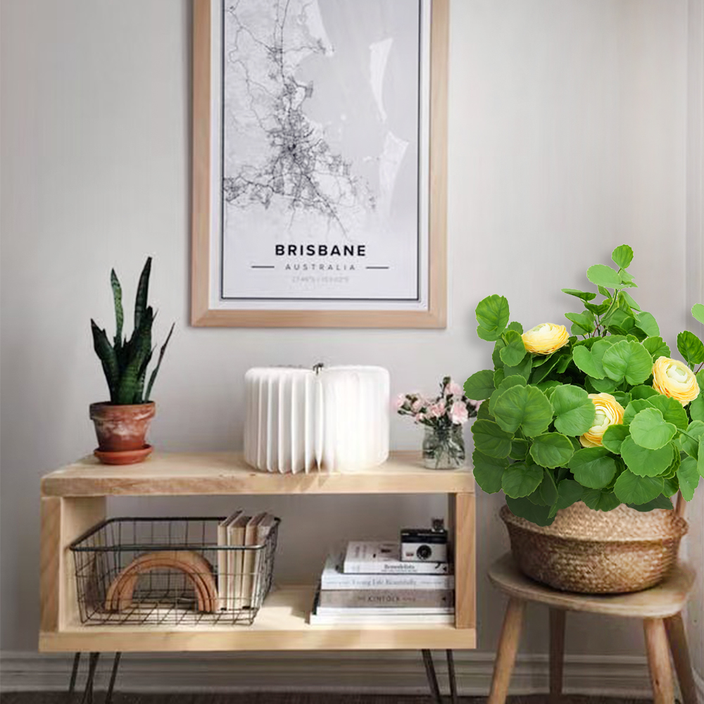 12 Artificial eucalyptus